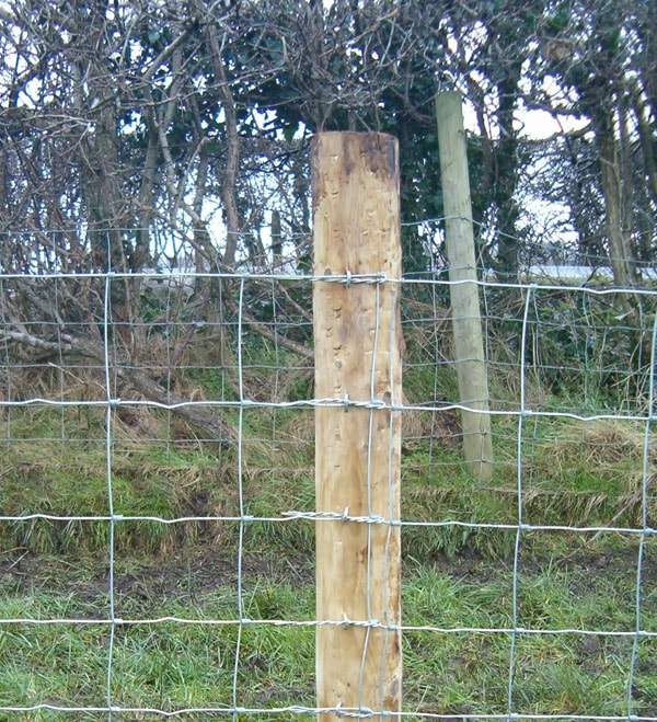 Wire Twister on Post